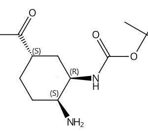 Tert-Butyl [(1R,2S,5S)-2-Amino-5-[(Dimethylamino)Carbonyl]Cyclohexyl]Carbamate