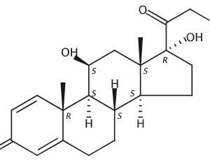 Prednisolone WS