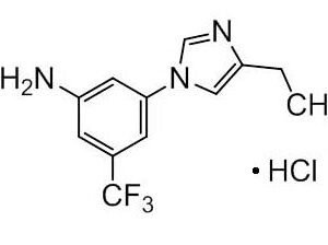 3-(4-Ethyl-1H-imidazol-1-yl)-5-(trifluoromethyl)aniline Hydrochloride