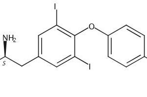 Levothyroxine EP Impurity E